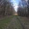 Old Portage Rail Road Tracks