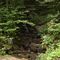 Glenwhite Rd Spring