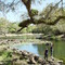 Withlacoochee river, Croom, Sumter county, Florida (3-17-2007)
