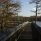 Boardwalk