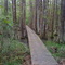 Chicot State Park hiking trail.