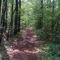 Chicot State Park Hiking Trail