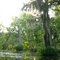 Bayou Chicot