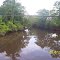 Bayou Cocodrie @ Hwy 106 North View