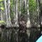 Beaver Lodge