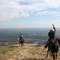 Horses at overlook