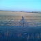 Boise River Trail - Weitz Rd