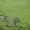 Irrigation Ditch