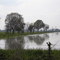 Rice fields