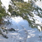 Winter walk