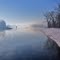 Morning Fog