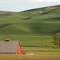 Wheat Fields