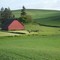 South Moscow Red Barn