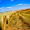 Hay Bales