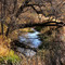 Paradise Creek in late fall