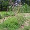 Connor Prairie - Lenape Indian Village