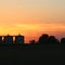 Sunset farm