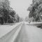 Most Snow in Years