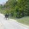 Amish route buggy