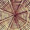 Octagon