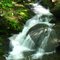 Peaceful Stream