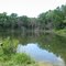 Mountain Man Pond