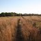 Field in North 40 at Falley Scout Reservation
