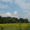 Frontenac, Kansas field