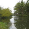 Mined Land Wildlife Area
