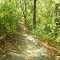   trail at Wilderness Park (Pittsburg, KS)