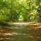 trail at Wilderness Park (Pittsburg, KS)