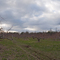 Sterling MA, Apples No More