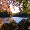 Otoño en Laguna de los Patos