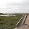 Stuck On Top Of The Levy - Arthur's Airboat Tours - Louisiana Bayou