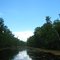 Mississipi Delta