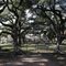Oakland Plantation