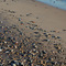 Illinois Beach State Park