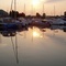 Harbor Sunset
