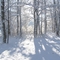 Beulah Park - Looks like Narnia!