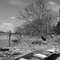 wodden boat