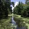 Swamp Tour Jean Lafitte