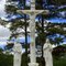 Christ on the Cross