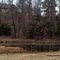 Dock on the Pond