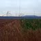 Fields of Colors