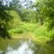 Oasis (taken with digital camera)
