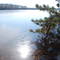 By the lake