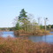Great Quitacas Pond