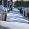 Choptank Marina