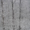 Snow on Interstate 70