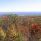 View of Frederick from Gambrill